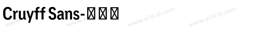 Cruyff Sans字体转换